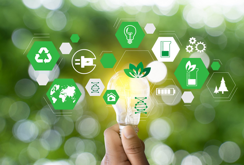 中文字幕一区二区人妻电影